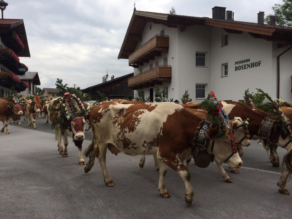 Pension Rosenhof บริกเซินอิมทาเล ภายนอก รูปภาพ